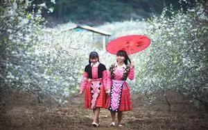 Khám phá những phong tục kỳ lạ trong chuyến du lịch ở Việt Nam