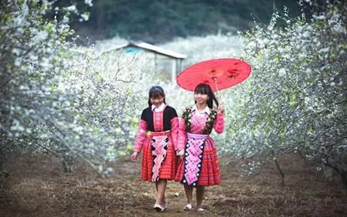 Khám phá những phong tục kỳ lạ trong chuyến du lịch ở Việt Nam