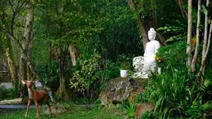 Découvrez des coutumes étranges lors d'un voyage au Vietnam