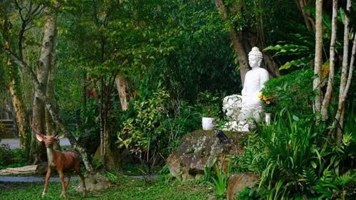 Découvrez des coutumes étranges lors d'un voyage au Vietnam